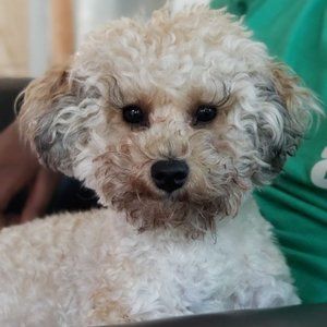 Meet your Posher, Melba